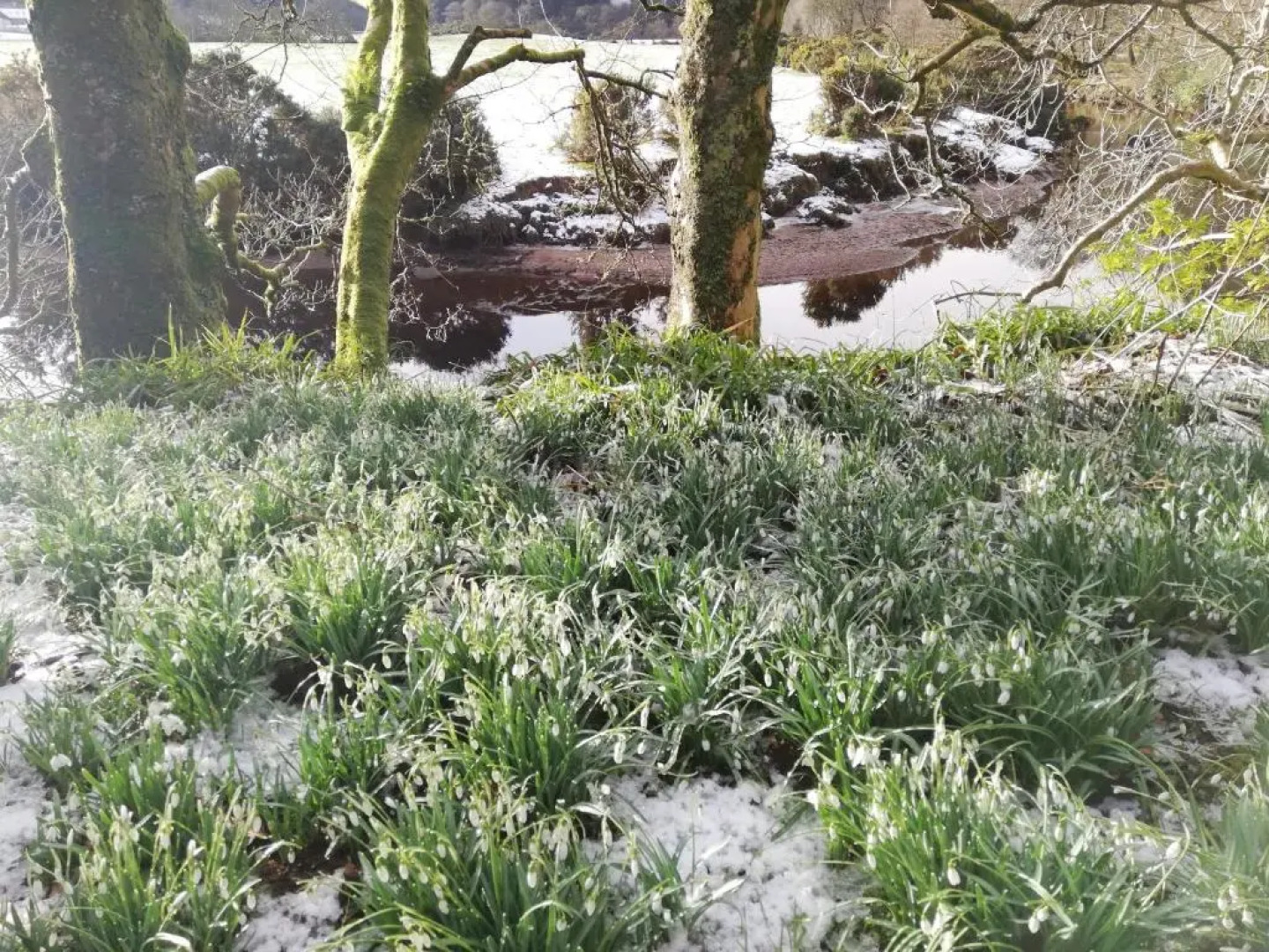 Carradales Luxury Guest House