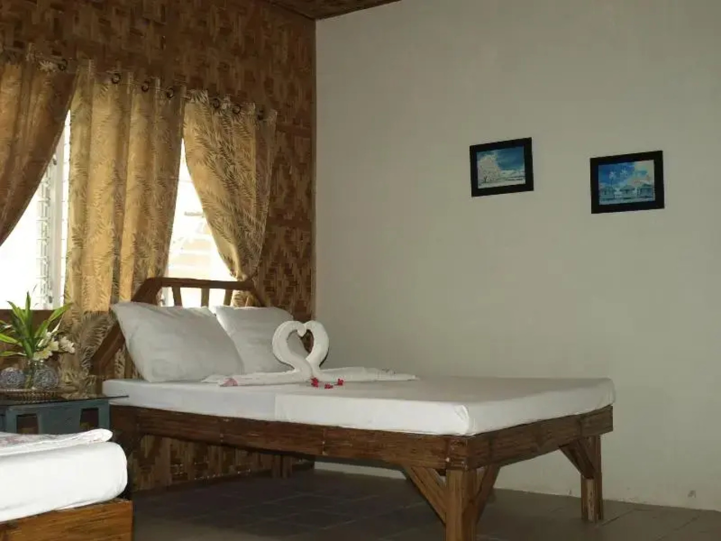 The Sharks Tail Dive Center