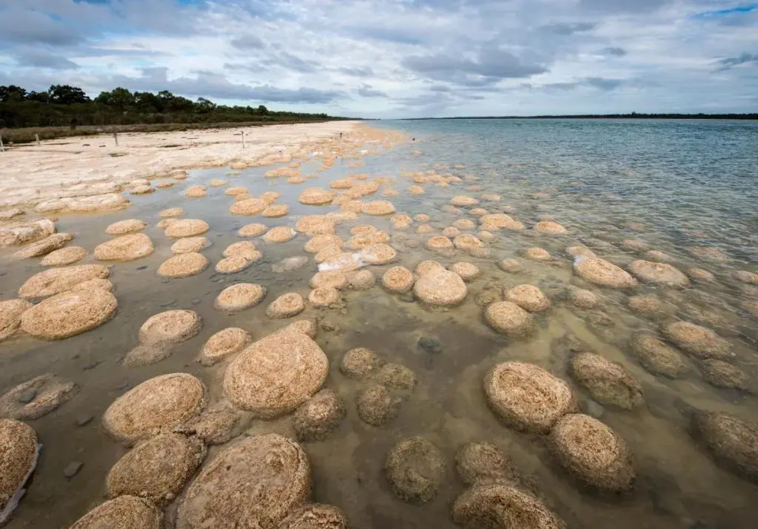 API Preston Beach Front Apartments