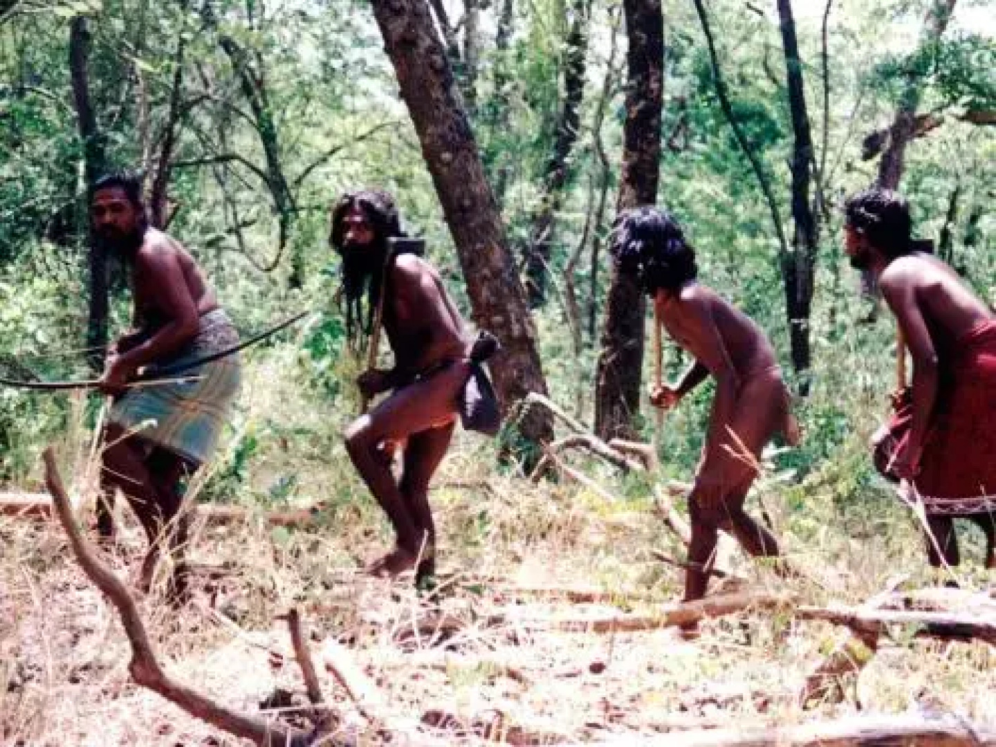 Mahoora Explorer - Dambana by Eco Team