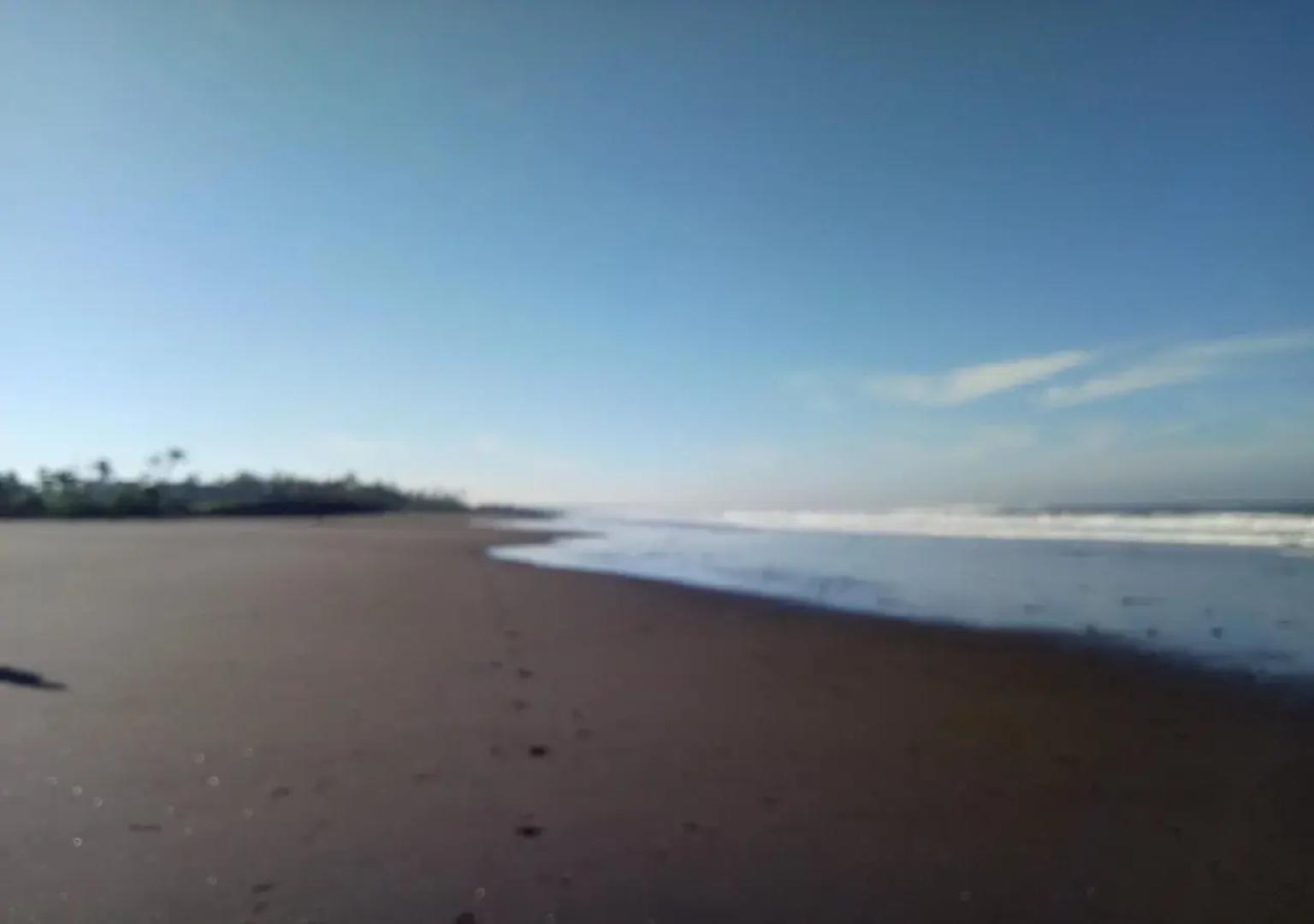 The Caz Bali