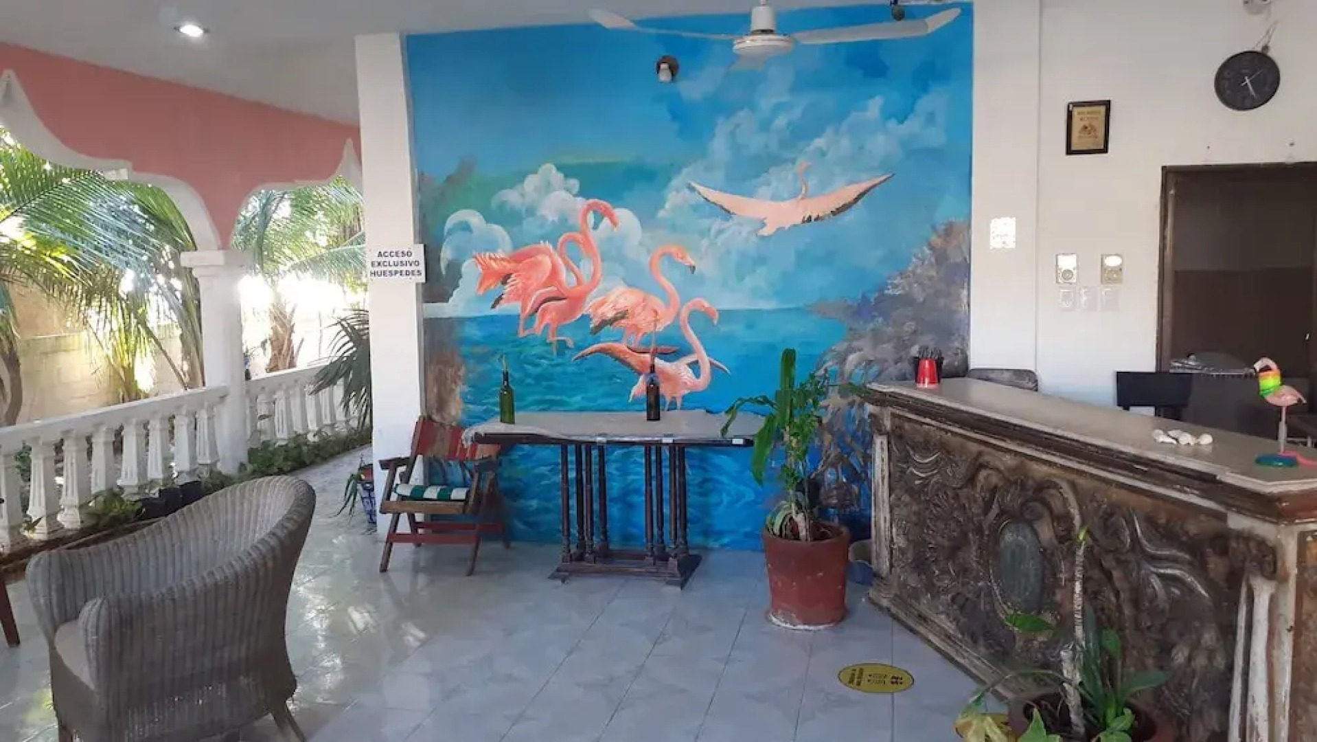 Flamingo Guest House Celestún