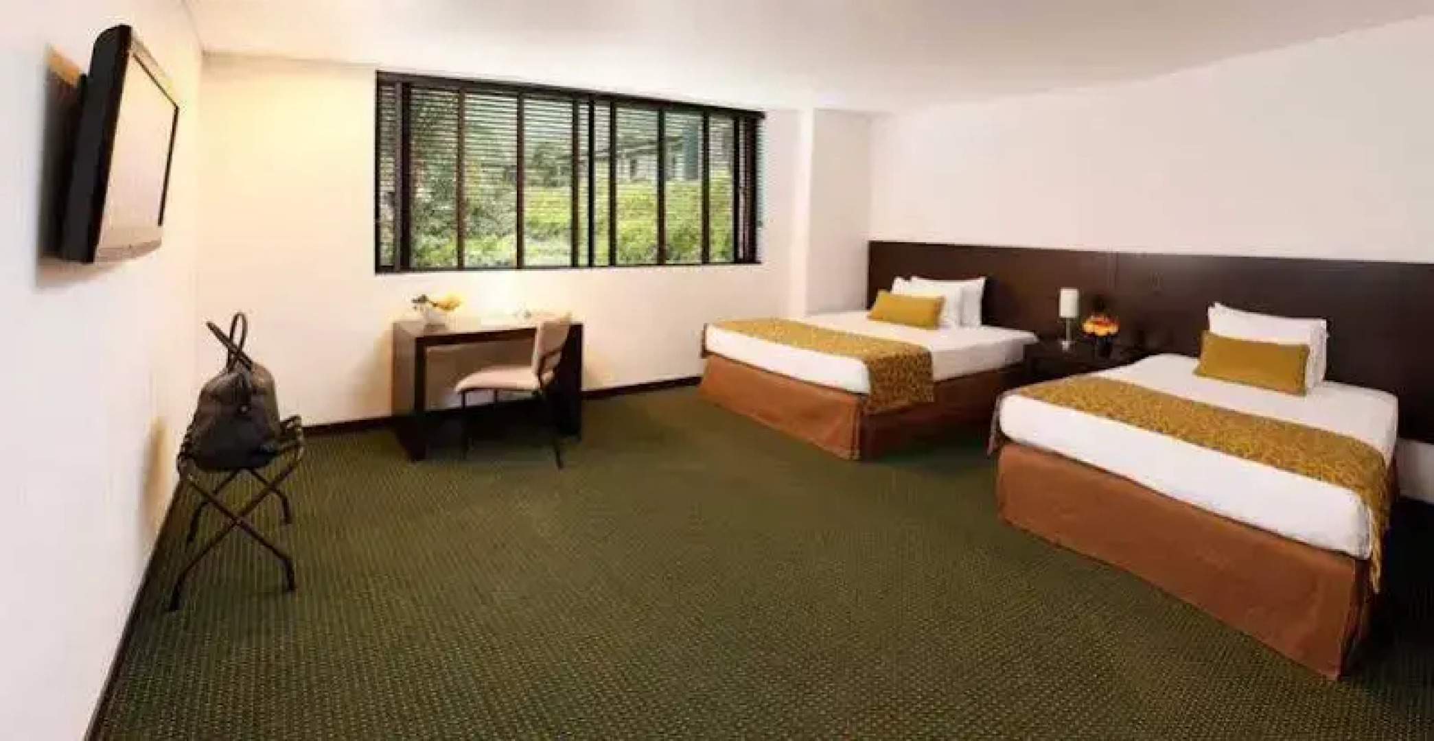 Estelar Recinto Del Pensamiento