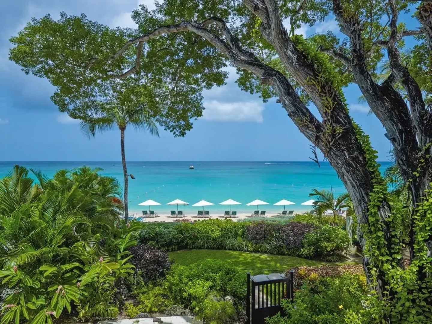 Coral Cove Beachfront Villas