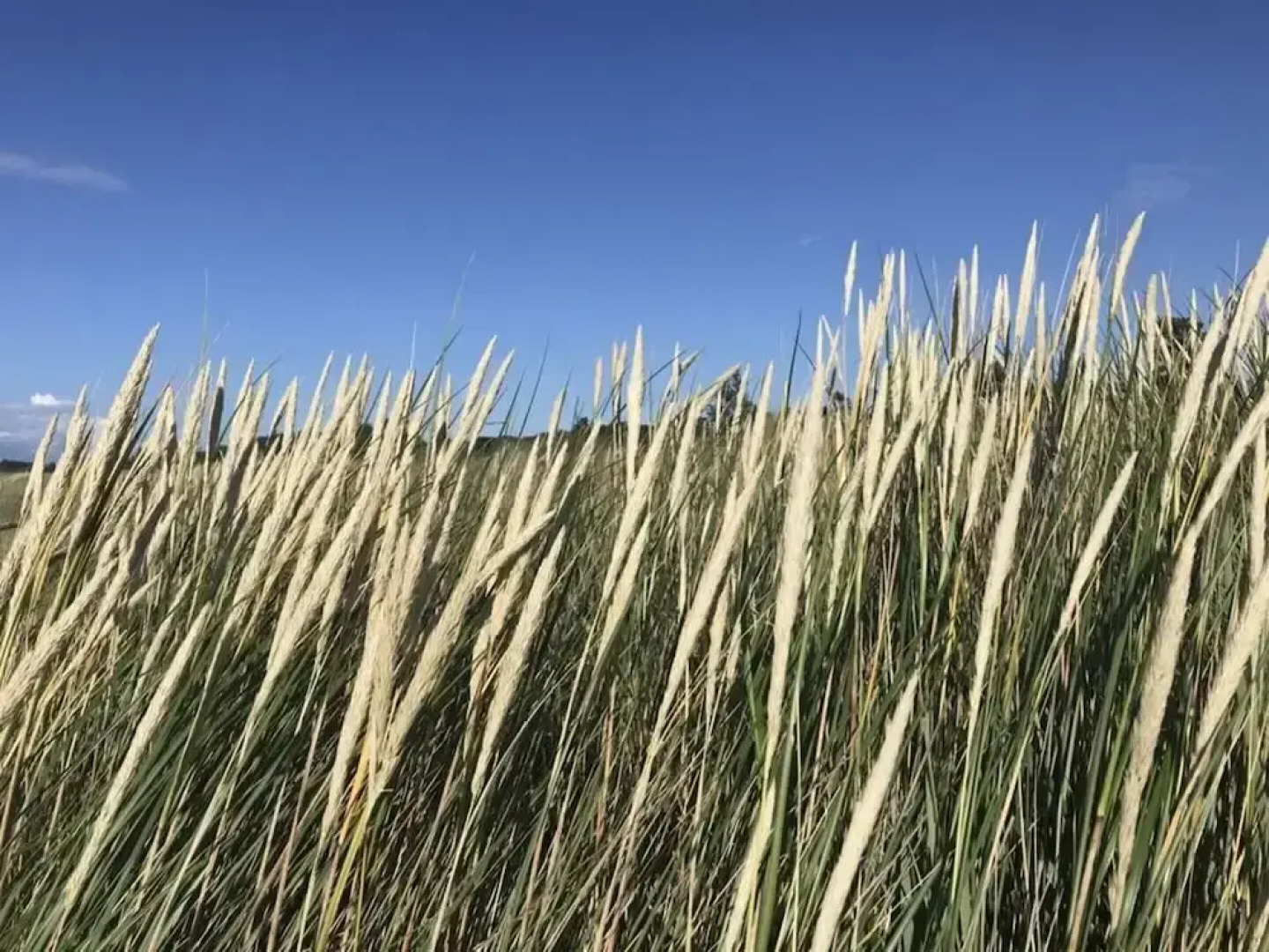 Holiday Apartment "kati"