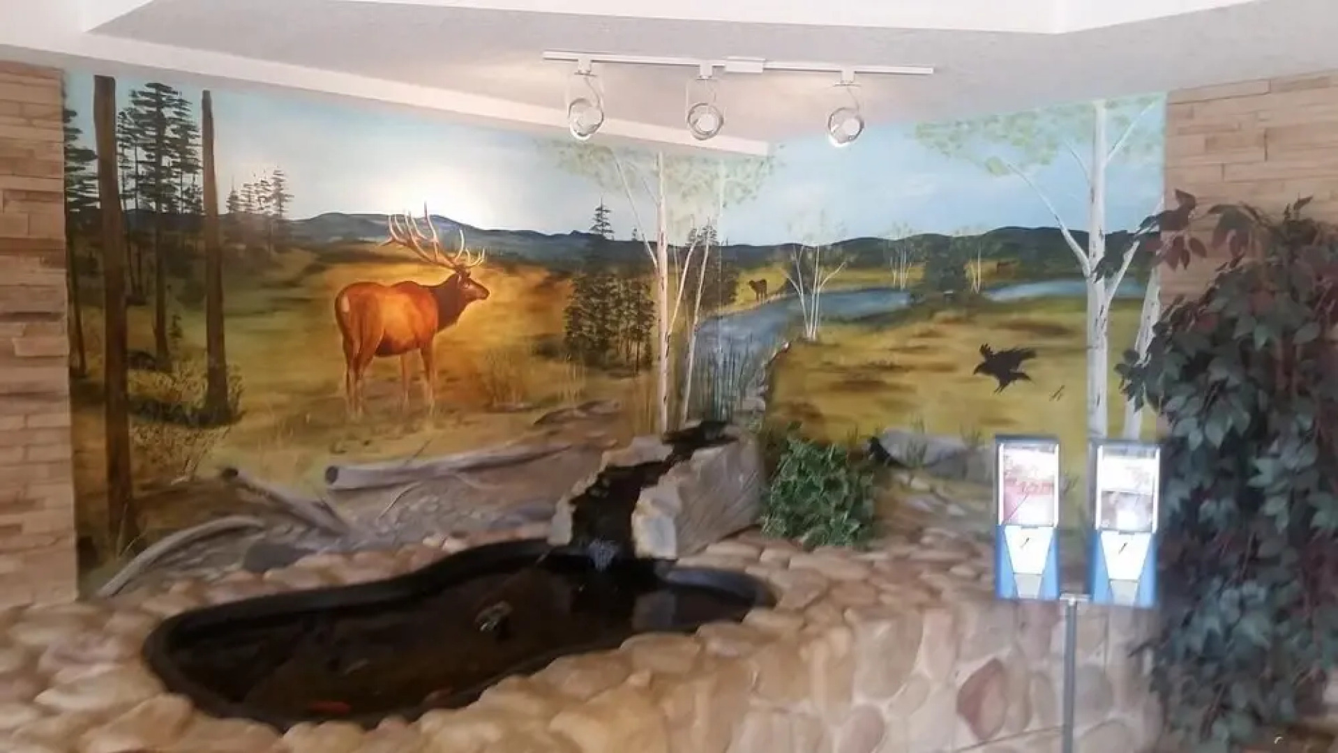 Western Budget Motel Whitecourt 3