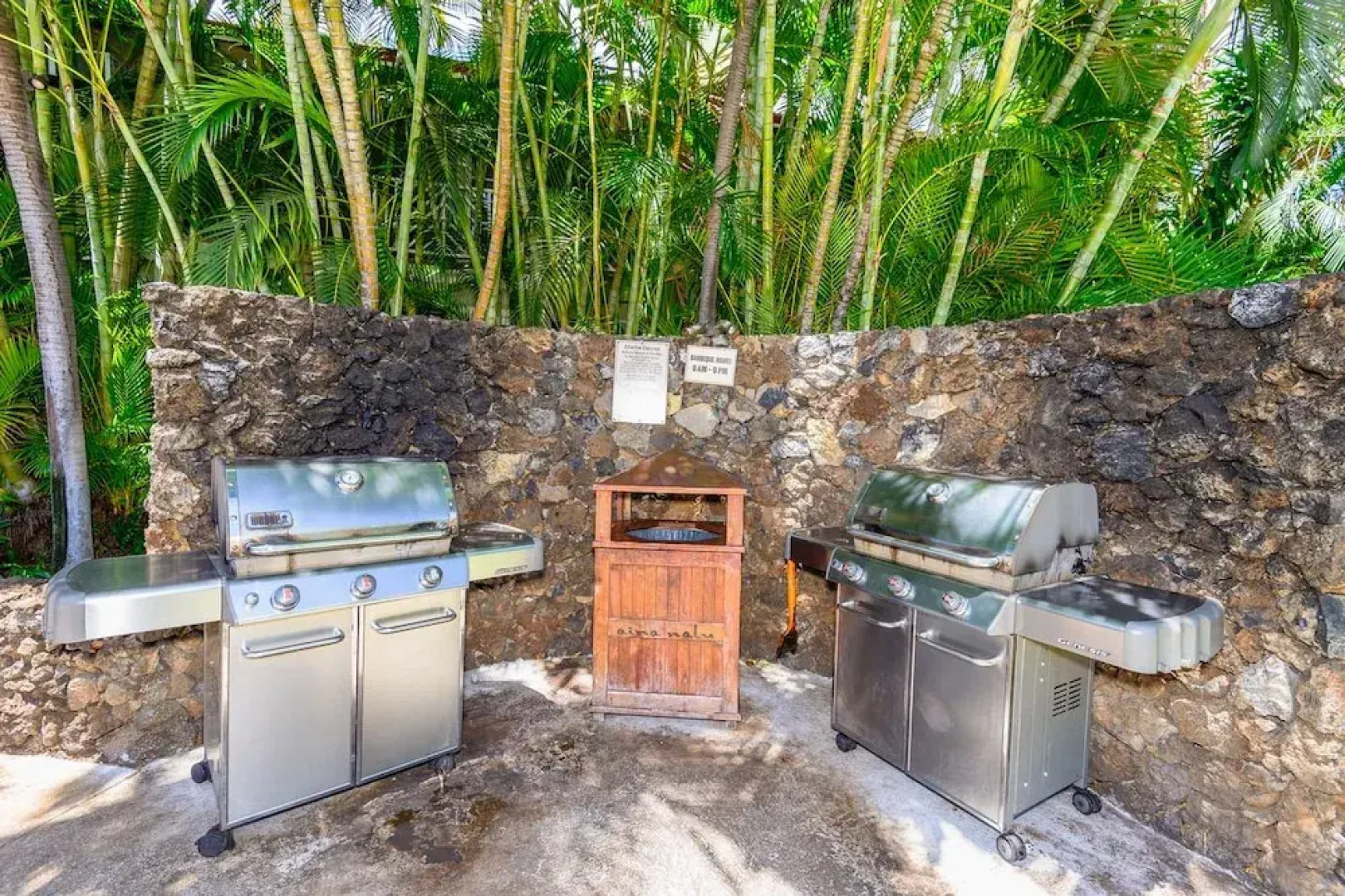 Aina-Nalu B204 - 2Br Condo