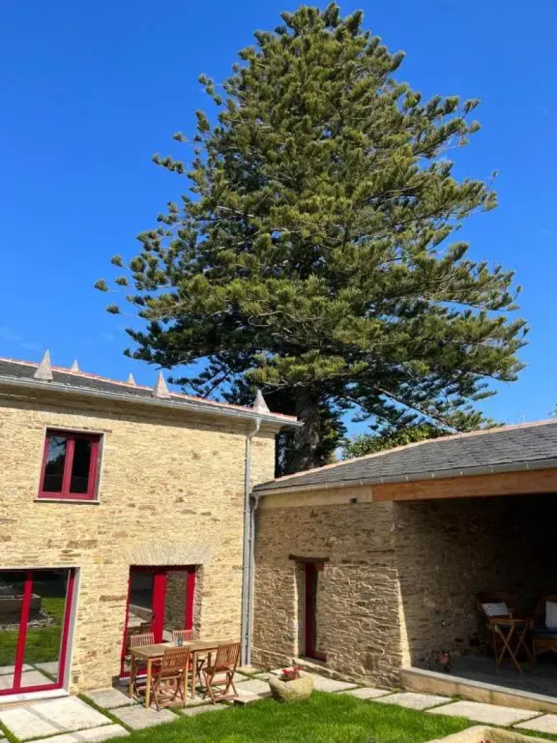 Araucaria House