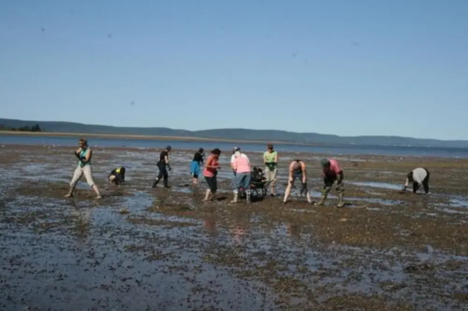 Gullivers Cove Oceanview Cottages