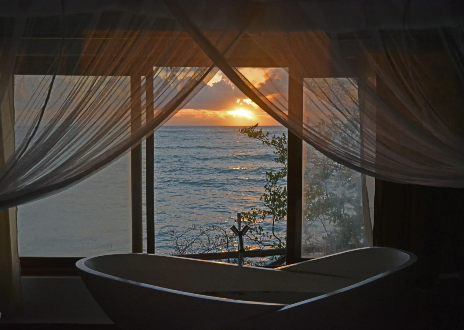 The Island - Pongwe Lodge - Adults Only