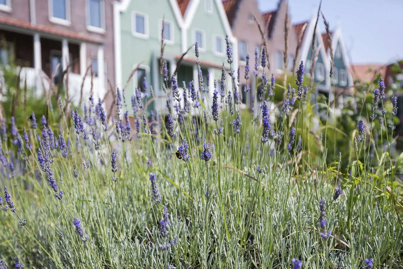 Roompot Marinapark Volendam