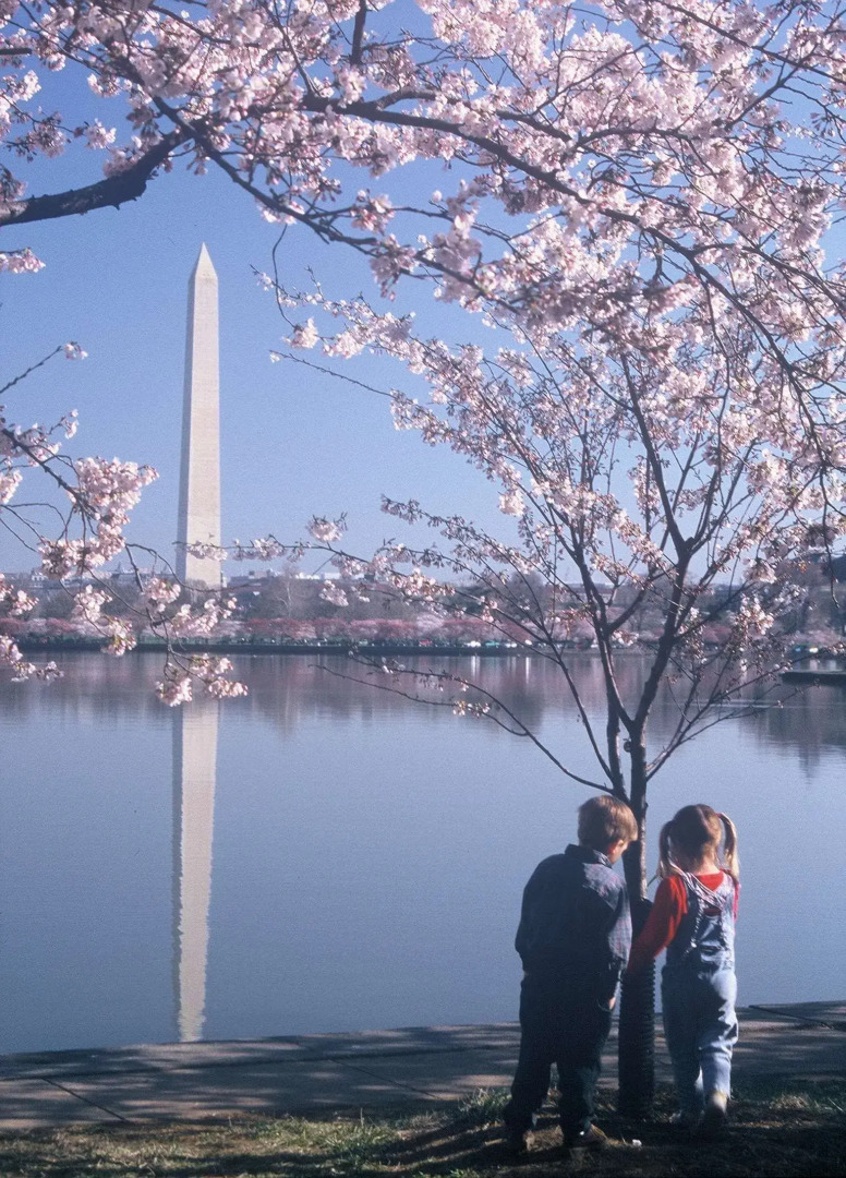 Homewood Suites by Hilton Falls Church - I-495 at Rt. 50