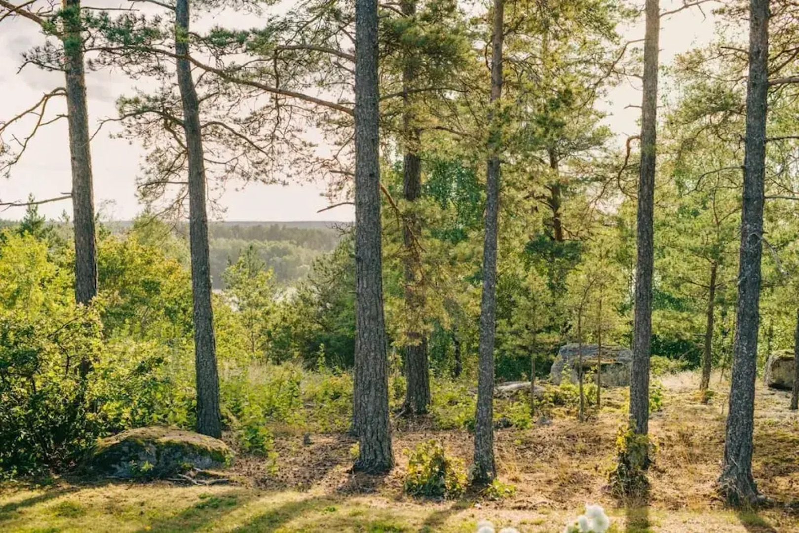 Sigtunahöjden Hotell & Konferens