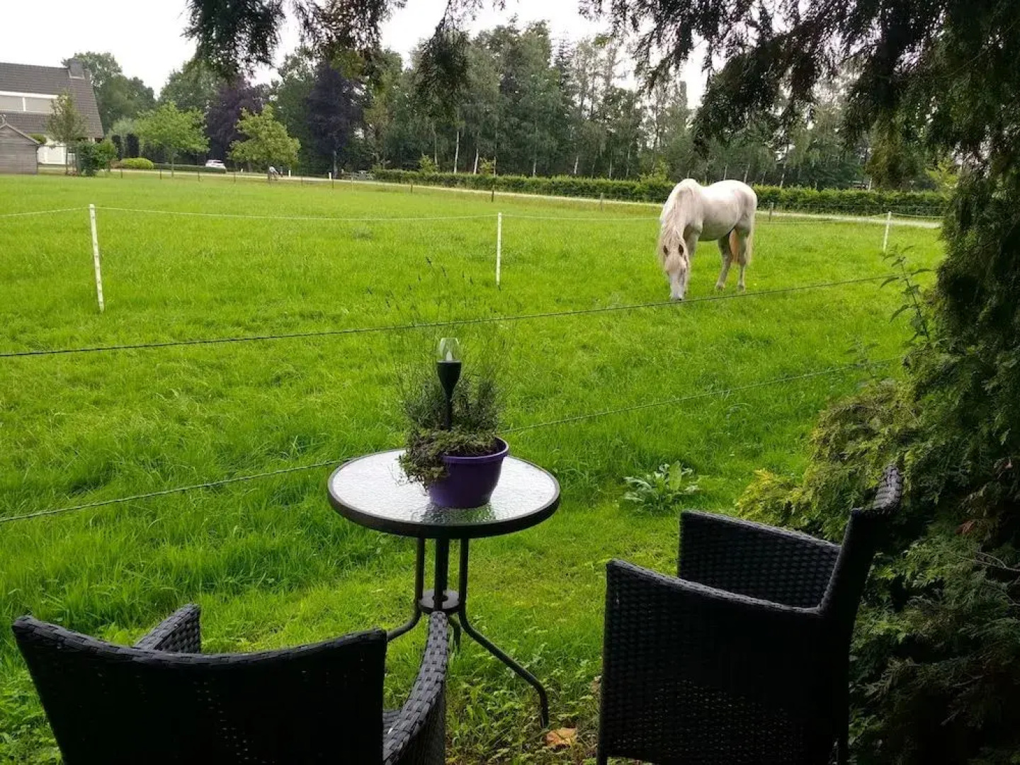 Bakhuisje gehele woning