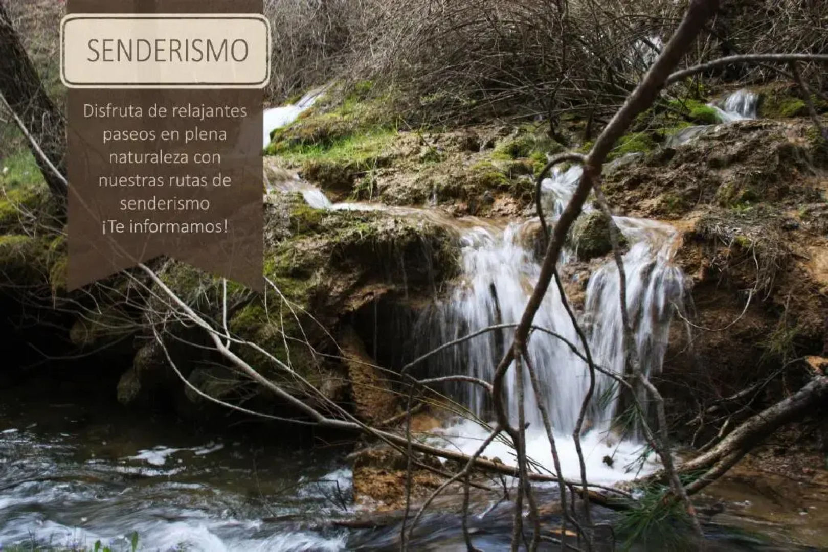 Apartamentos Mirador del Pinar