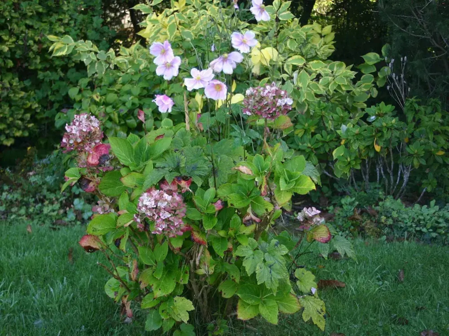 Cozy Holiday Home in Bolleville With Terrace