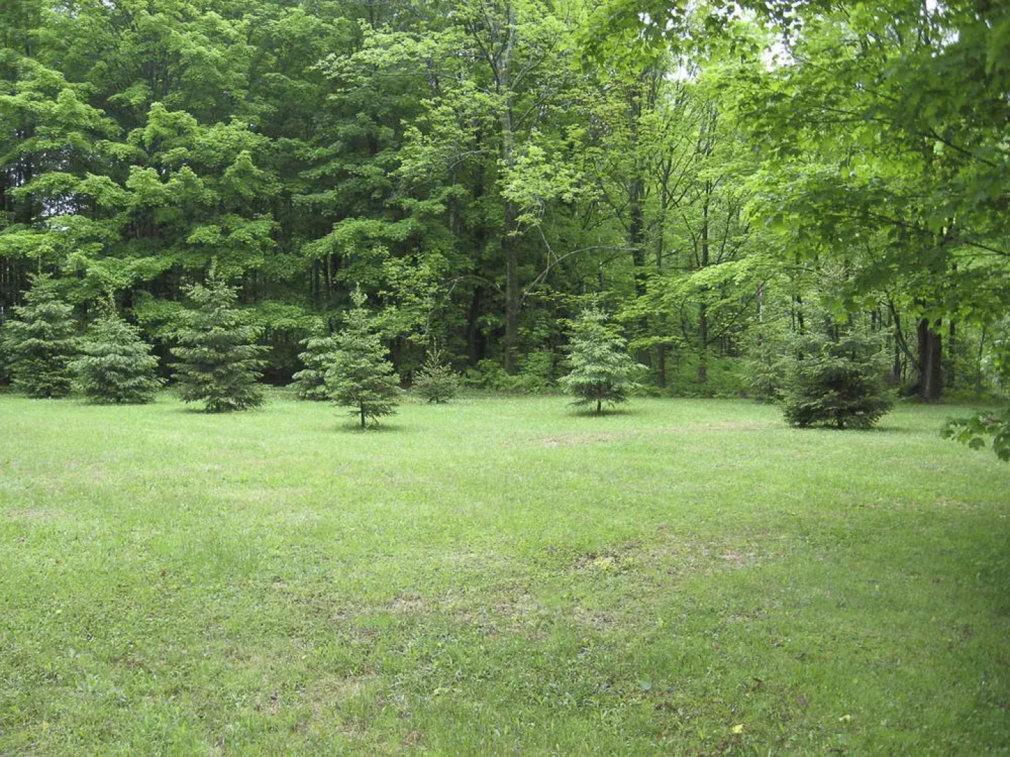 Auberge des Vignobles