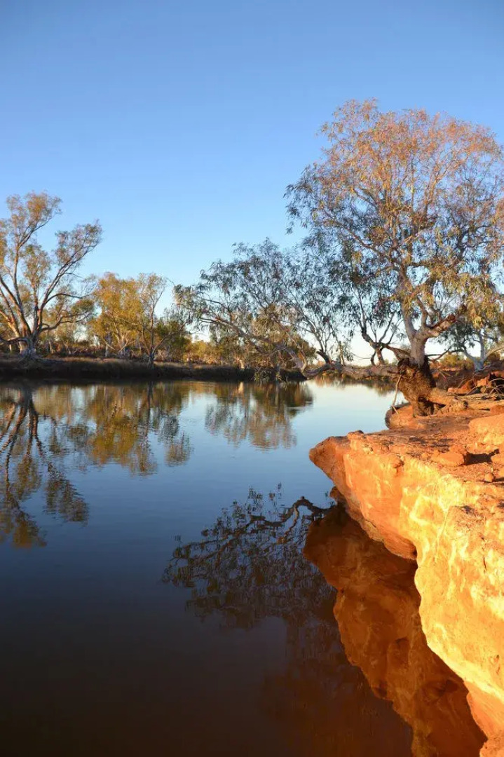 Wooleen Station