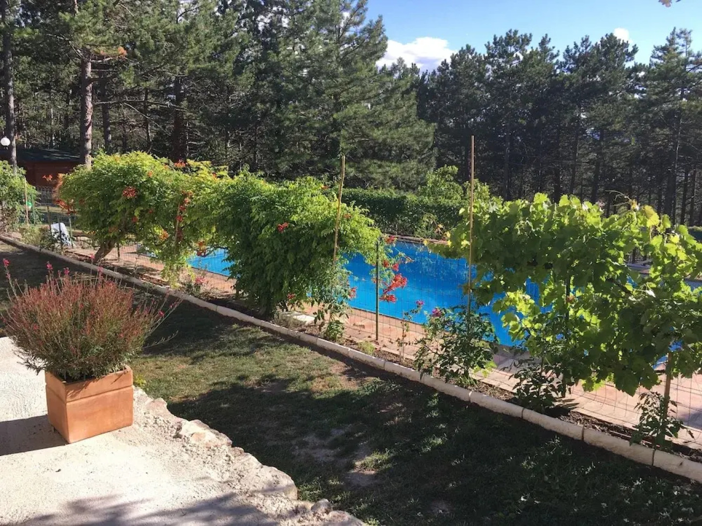 Mas de la Pinède (ex. Les Arbousiers)