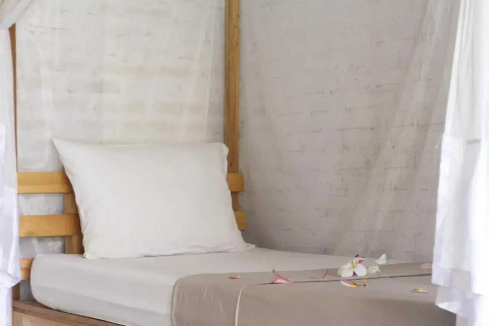 Surfer House-Surf School & Camp