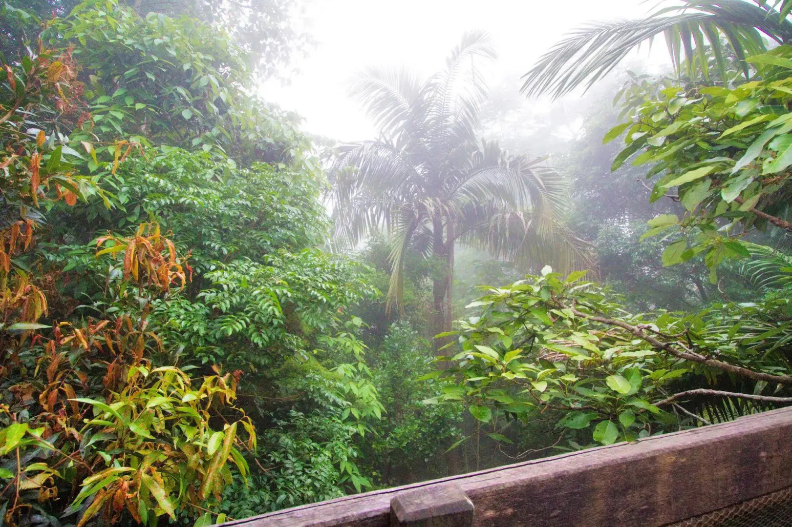 Mt Glorious Getaways