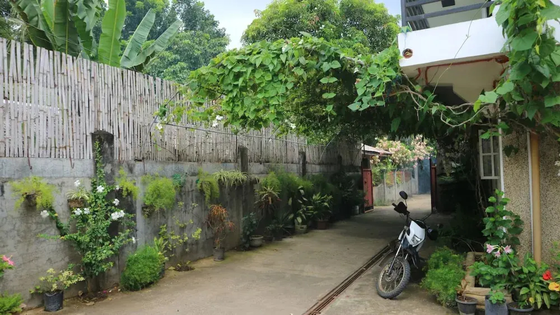 Charm Guest House - Hostel