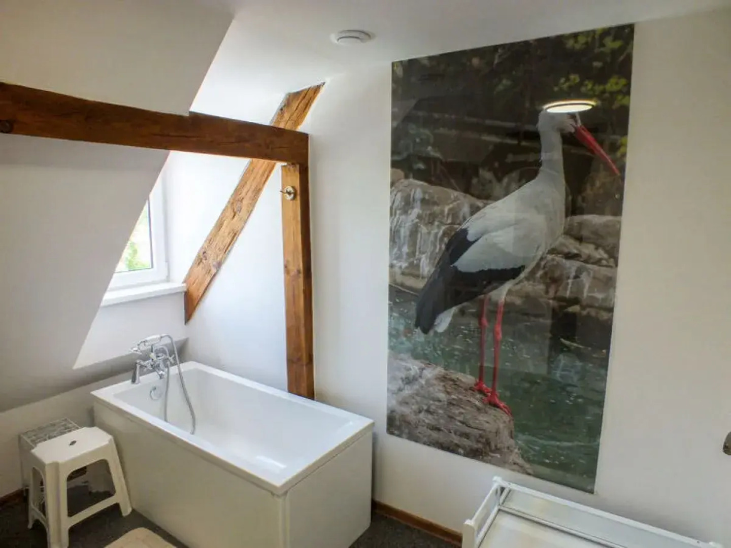 Country House Premium