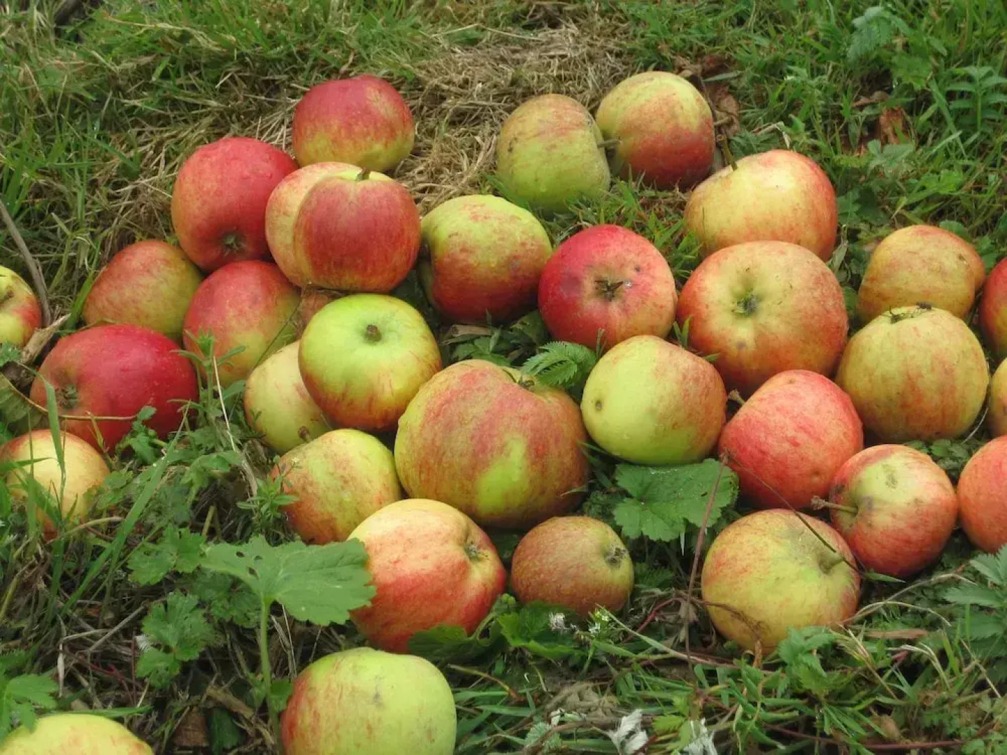 White Heather Farmhouse