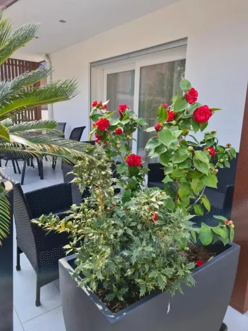 Residence Klima House de Vilos