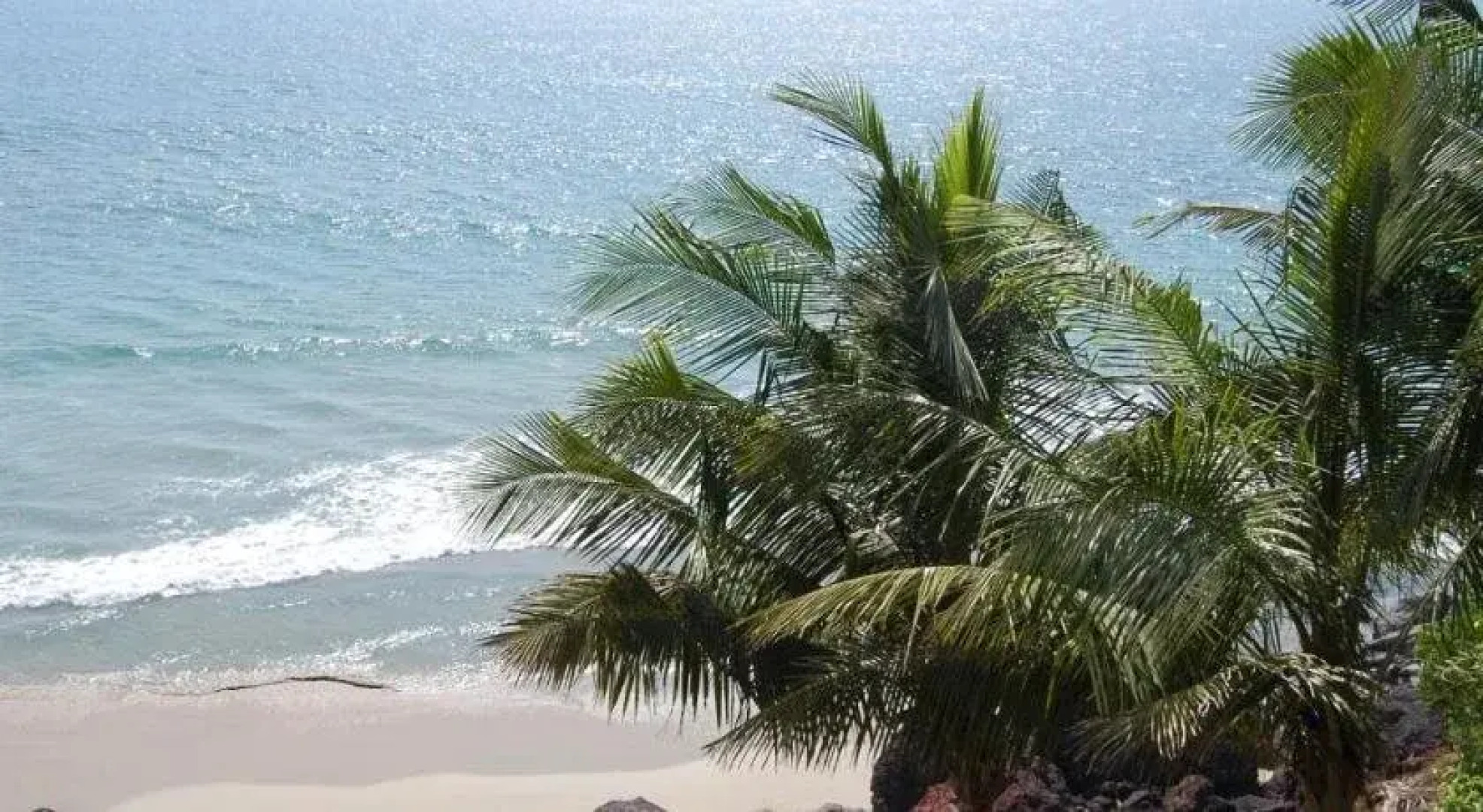 Seashore Beach Resort Varkala