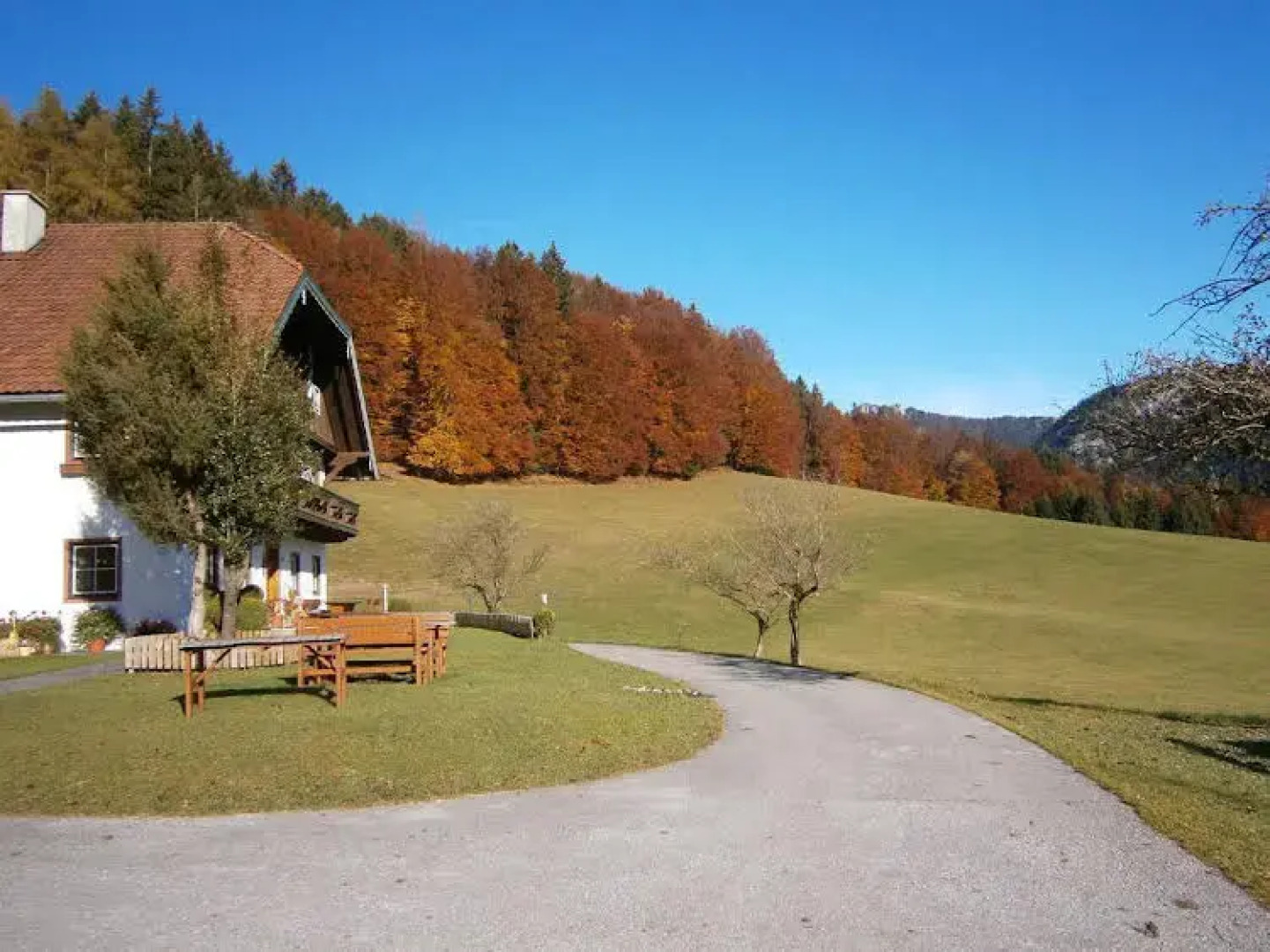 Wohlfühlbauernhof Bambichlhof