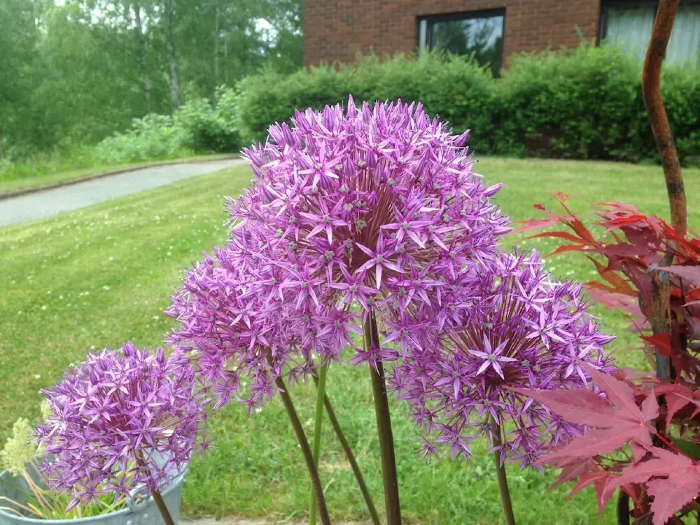 Nadden Hotell och konferens