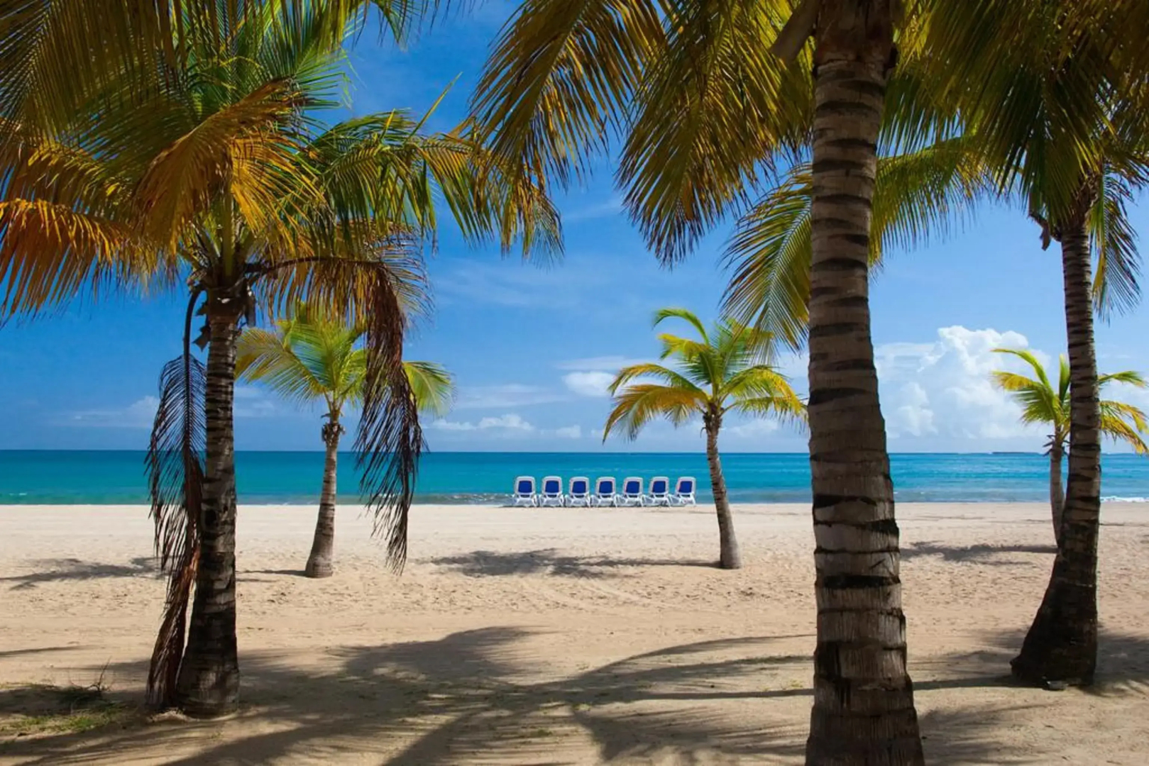 Courtyard by Marriott Isla Verde Beach Resort