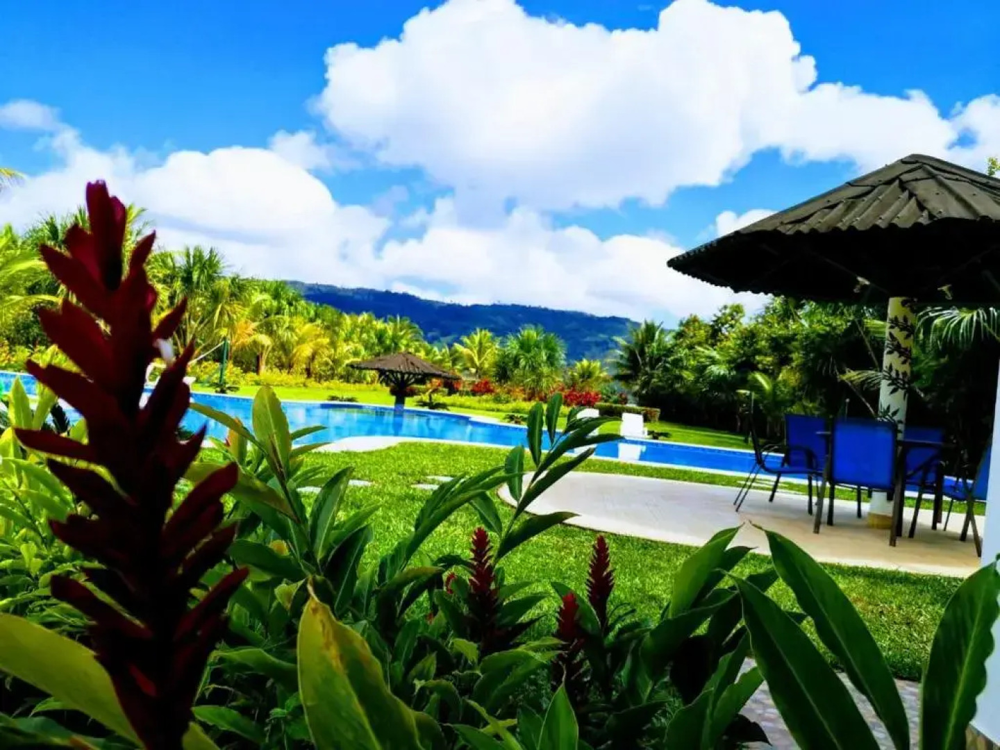 Los Aguajes de Sauce