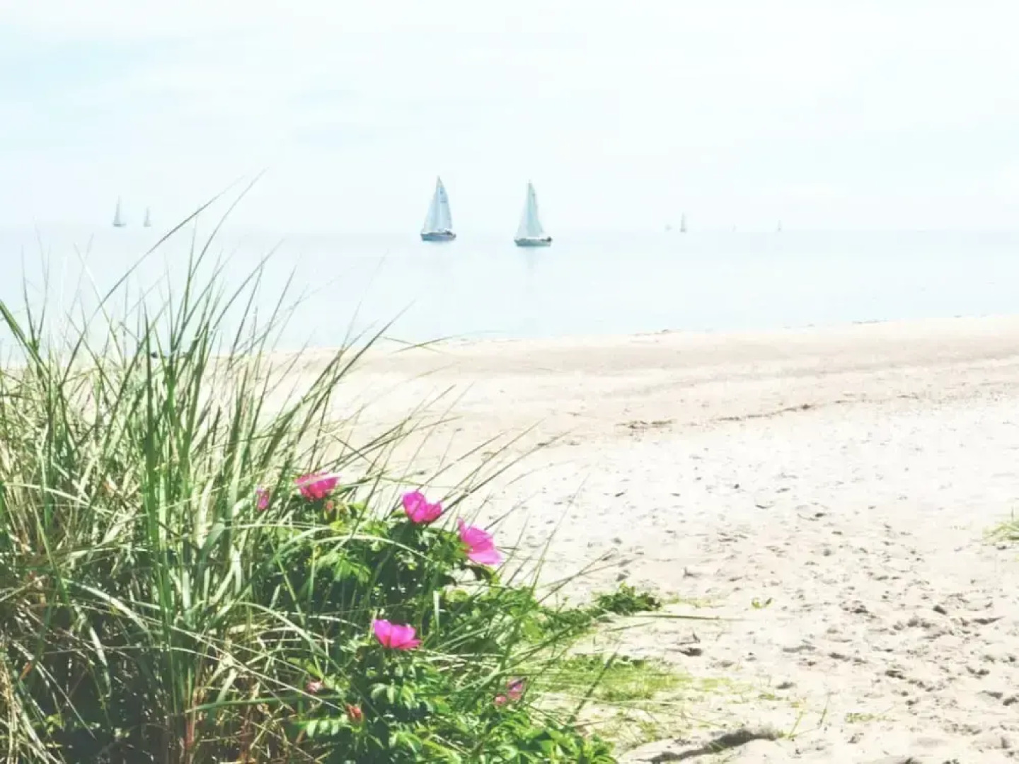 Holiday Apartment Domstag "kos"