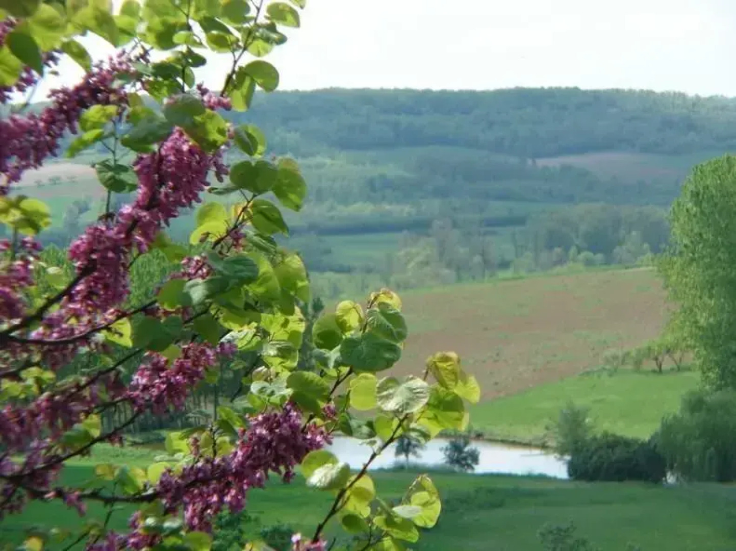 Maison dhôtes Le LOGIS de REYJADE