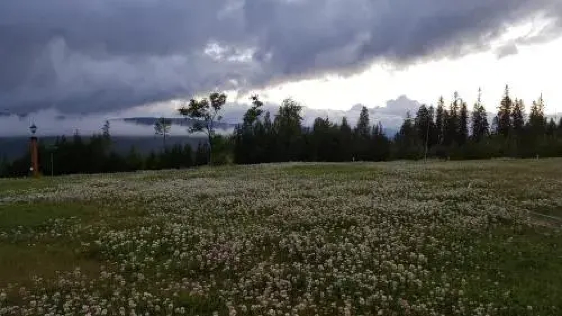 Sälens Bed & Breakfast