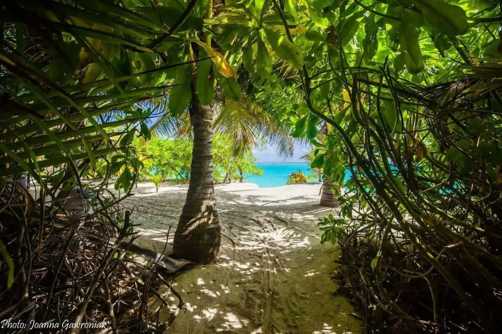 Thoddoo Beach View by Vista