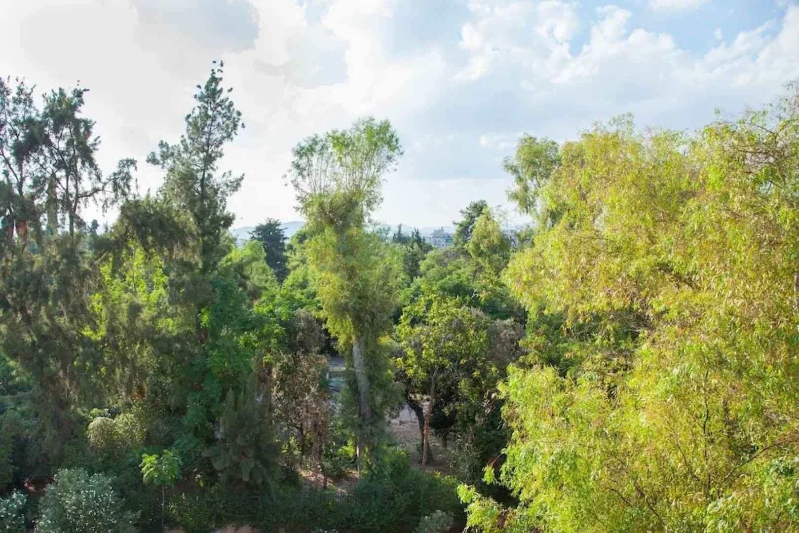 Fully Renovated Modern Beauty in Athens