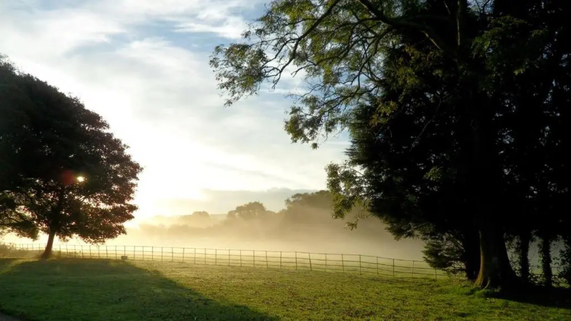 Elm Grove Country House