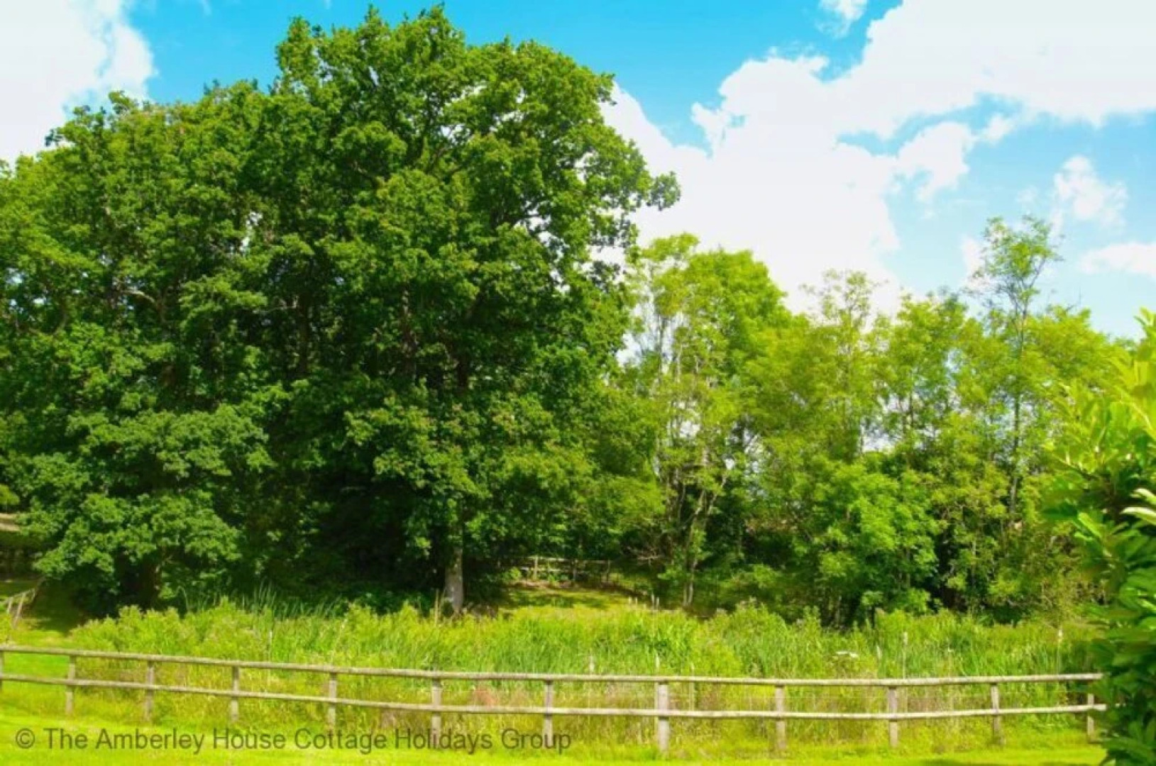 The Woodland Cottage
