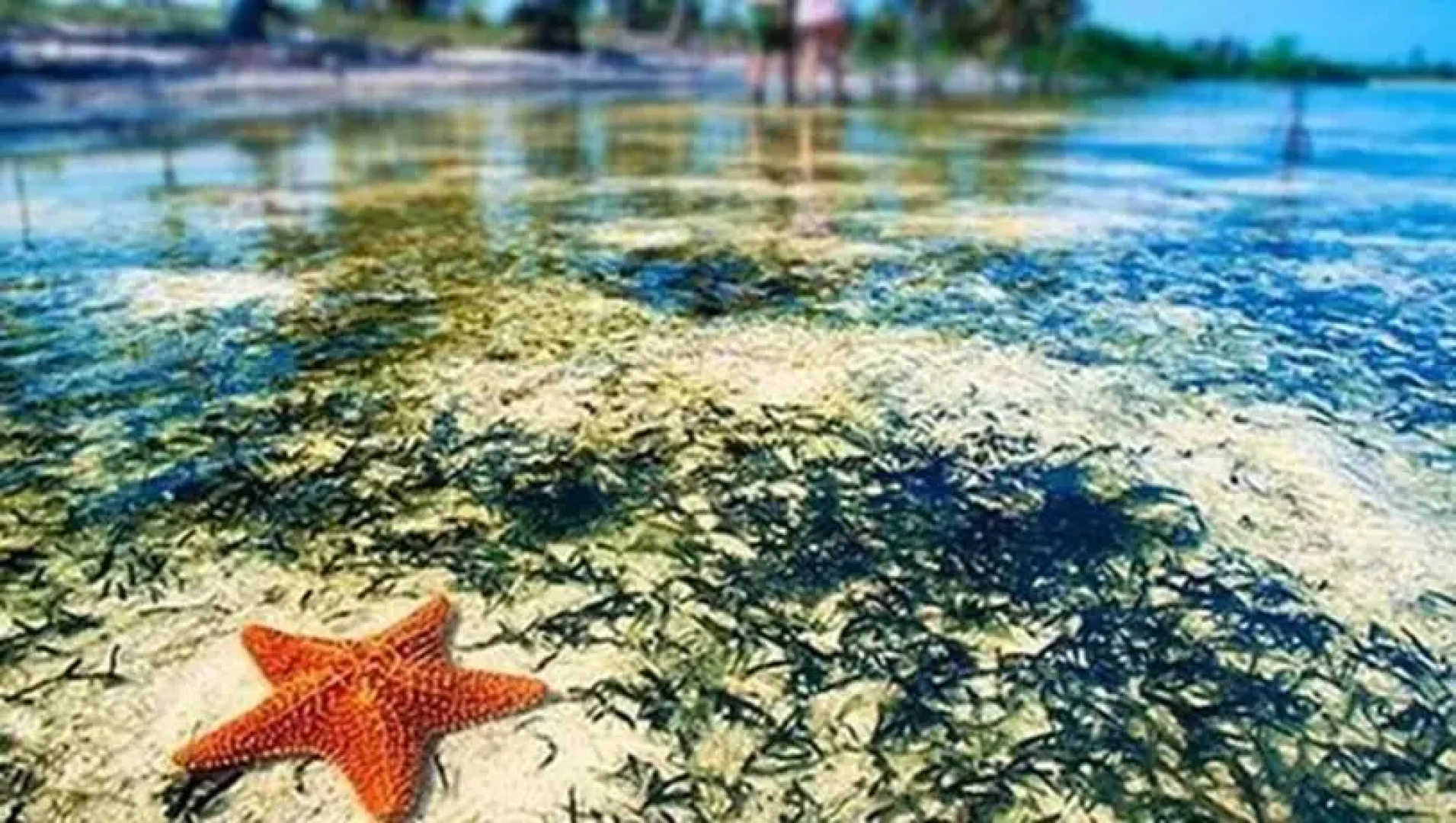 Cabañas Demar Achudup