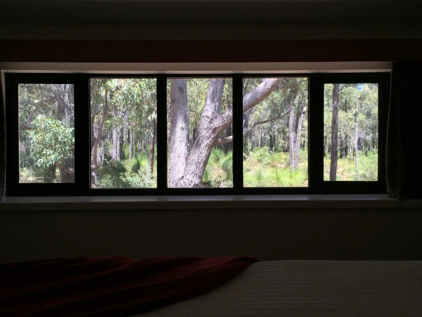 Carinyah Retreat Bed & Breakfast