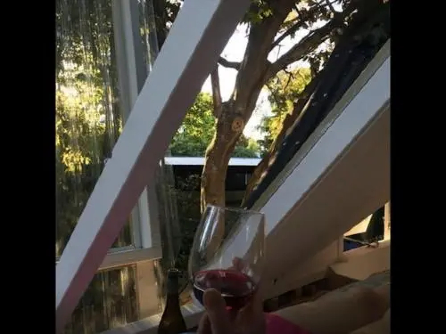 Follow The White Wabbit