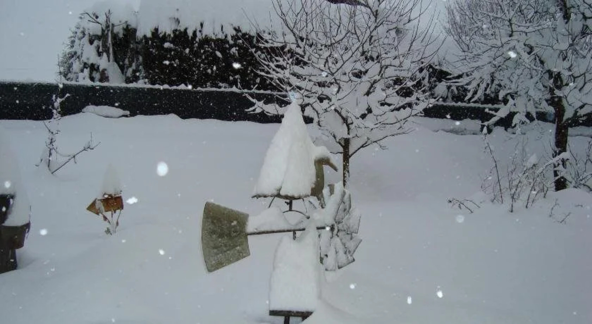 Gästehaus Nischelbitzer