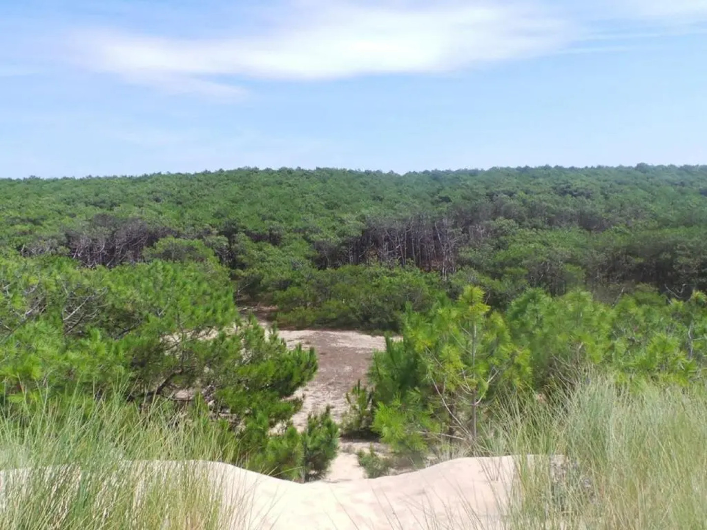 Gite Herm, 3 pièces, 4 personnes - FR-1-360-670