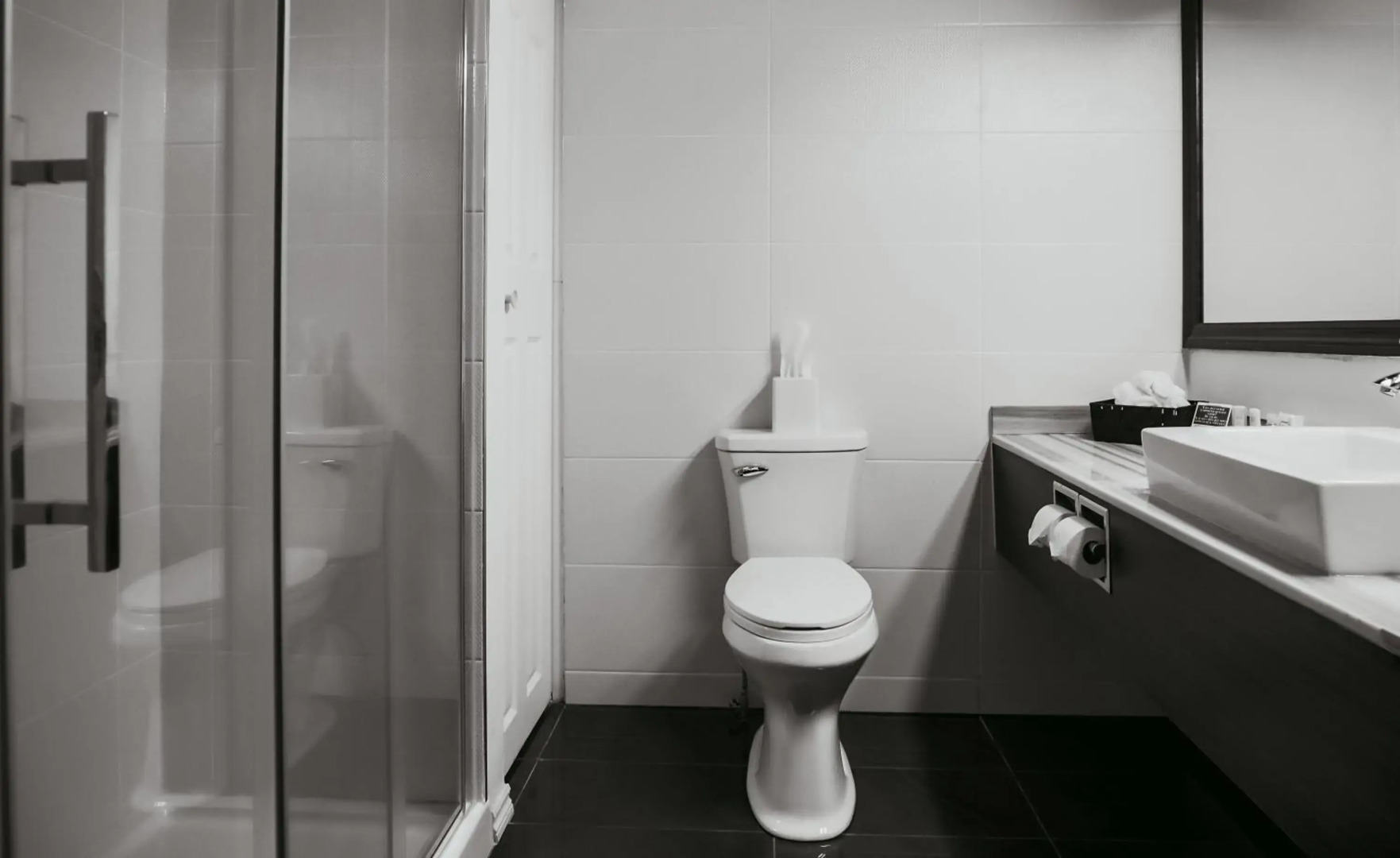 Quality Inn & Suites Gatineau