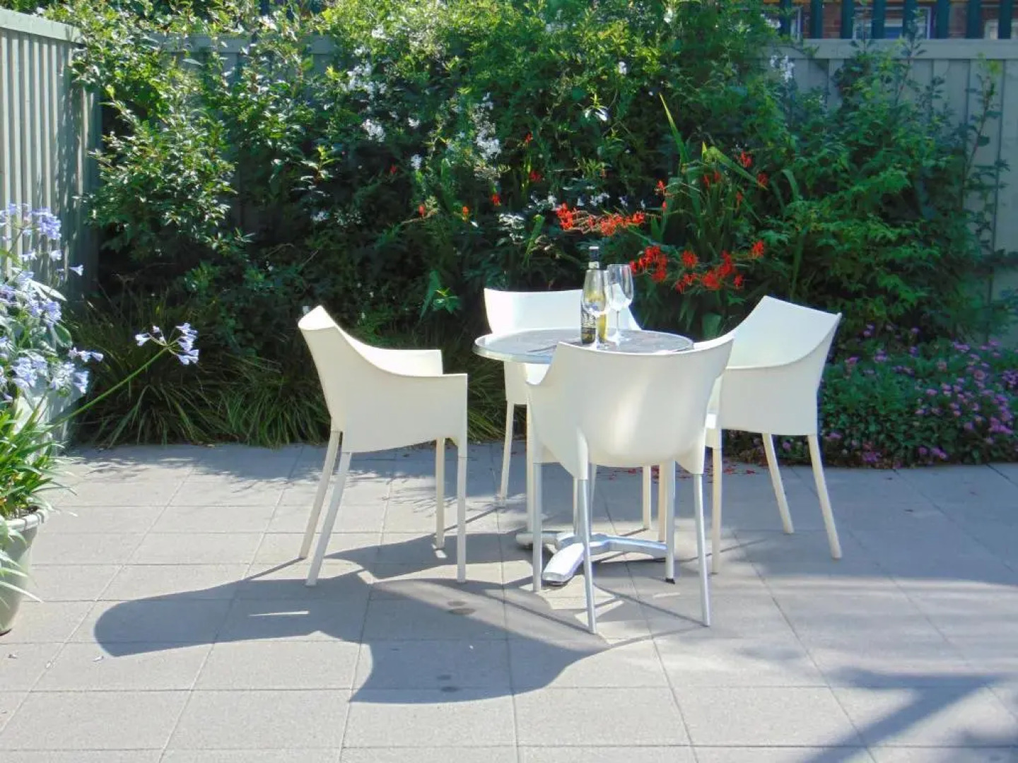 Driftwood, Donaghadee