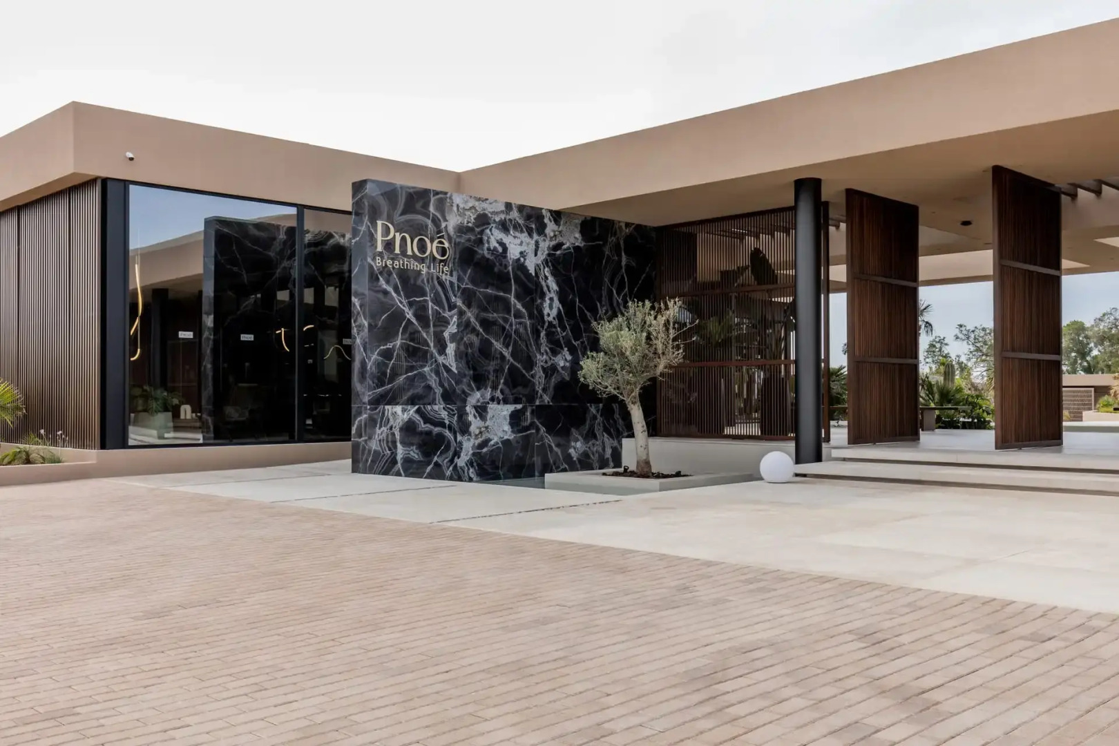 Pnoe Breathing Life (Adults Only)