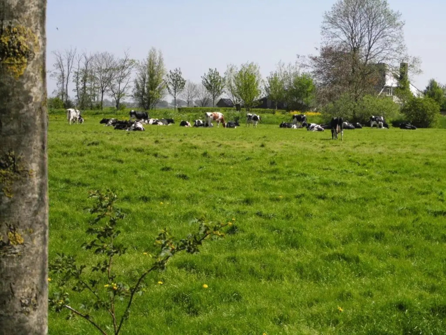 Vakantiehuisjesmarsherne